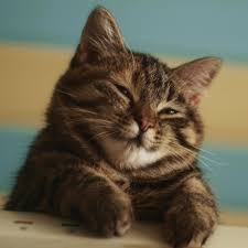 Course Staff Image #1